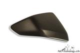 Carbon Ilmberger side panel insert set Ducati Panigale 899