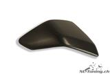 Carbon Ilmberger side panel insert set Ducati Panigale 899