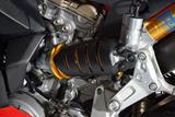 Ducati Panigale 899 - Protge amortisseur en carbone Ilmberger