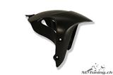 Carbon Ilmberger front wheel cover Ducati Diavel