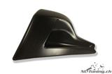 Carbon Ilmberger Motorspoiler/hlkhlerverkl. Set Ducati Diavel