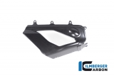 Carbon Ilmberger Auspuffabdeckung Akrapovic Set Ducati Panigale V4
