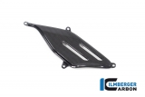 Carbon Ilmberger Auspuffdeckel Akrapovic Ducati Panigale V4