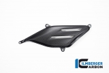 Carbon Ilmberger Auspuffdeckel Akrapovic Ducati Panigale V4