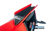 Carbon Ilmberger pillion cover Aprilia RSV 4 1100