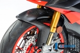 Aile avant carbone Ilmberger Aprilia Tuono V4