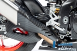 Paracalore scarico in carbonio Aprilia Tuono V4