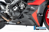 Spoiler motore in carbonio Ilmberger lungo Aprilia Tuono V4