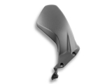 Ducabike carbon rear wheel cover Ducati Panigale V4