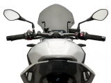 Puig windscherm BMW M 1000 R