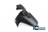 Cubre rueda trasero carbono Ilmberger Ducati Monster 1200 S
