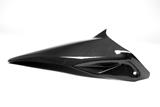 Carbon Ilmberger rear wheel cover long Ducati Monster 1200