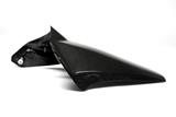 Carbon Ilmberger rear wheel cover long Ducati Monster 1200