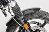 Copriruota anteriore in carbonio BMW R NineT Scrambler