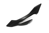 Juego paneles laterales carenado carbono Ilmberger BMW S 1000 XR