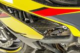 Juego paneles laterales carenado carbono Ilmberger BMW S 1000 XR