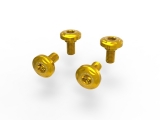 Ducabike casing screws set Ducati Streetfighter V4