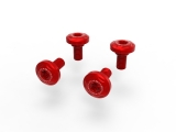 Ducabike casing screws set Ducati Streetfighter V4