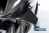 Carbon Ilmberger Original Winglets links BMW M 1000 RR