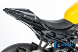 Carbon Ilmberger bakre kpa Racing BMW M 1000 RR