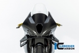 Carbon Ilmberger frontkpa Racing BMW M 1000 RR