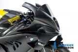 Carbon Ilmberger Frontverkleidung Racing BMW M 1000 RR