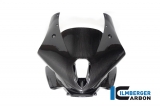 Carbon Ilmberger front fairing Racing BMW M 1000 RR