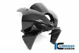 Carbon Ilmberger front fairing Racing BMW M 1000 RR