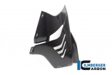 Carbon Ilmberger side fairing set Racing BMW M 1000 RR