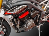 DBK Cuscinetti per crash Triumph Speed Triple 1200 RS