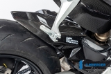 Carbon Ilmberger Hinterradabdeckung Ducati Streetfighter V2