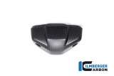 Carbon Ilmberger instrumentenpaneel Ducati Streetfighter V2