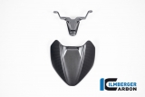 Carbon Ilmberger windshield Ducati Streetfighter V2