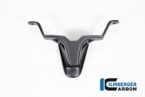 Pare-brise en carbone Ilmberger Ducati Streetfighter V2