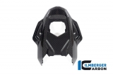 Carbon Ilmberger frame rear cover BMW M 1000 RR