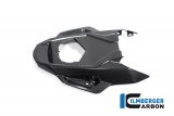 Copertura telaio posteriore in carbonio BMW M 1000 RR