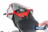 Carbon Ilmberger Soziusabdeckung BMW M 1000 RR