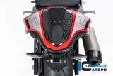 Carbono Ilmberger carenado trasero Biposto BMW M 1000 RR