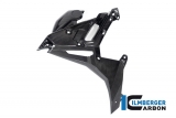 Set coperchio radiatore acqua in carbonio BMW M 1000 R