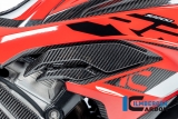 Carbon Ilmberger salida de aire derecha BMW S 1000 RR