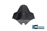 Carnage arrire en carbone Ilmberger Monoposto BMW S 1000 RR