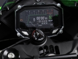 Protezione display Bonamici Kawasaki Ninja ZX-10R