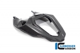 Carbon Ilmberger rear fairing center section BMW M 1000 R
