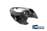 Carbon Ilmberger rear fairing center section BMW M 1000 R