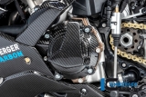Carbon Ilmberger alternator cover BMW M 1000 R
