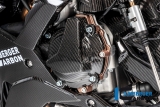 Kolfiber Ilmberger vxelstrmsskydd BMW M 1000 R