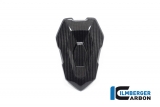 Carbon Ilmberger achterzadelhoes BMW M 1000 R