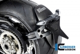 Protge-claboussures carbone Ilmberger Ducati Diavel V4