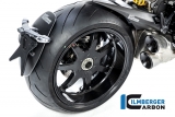 Carbon Ilmberger splash guard Ducati Diavel V4