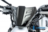 Vindruta i kolfiber Ilmberger Ducati Diavel V4